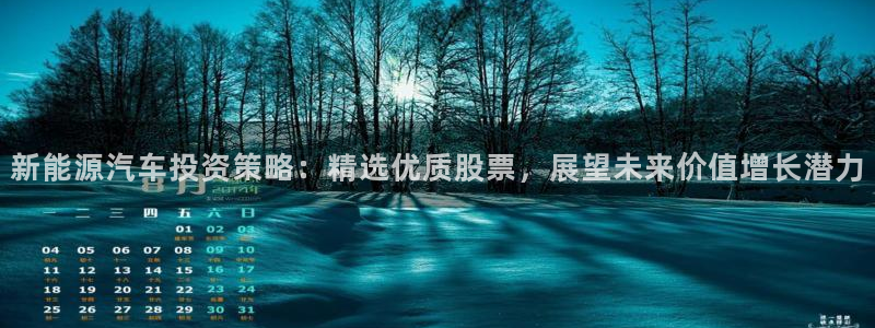 新宝gg主管都是谁：新能源汽车投资策略：