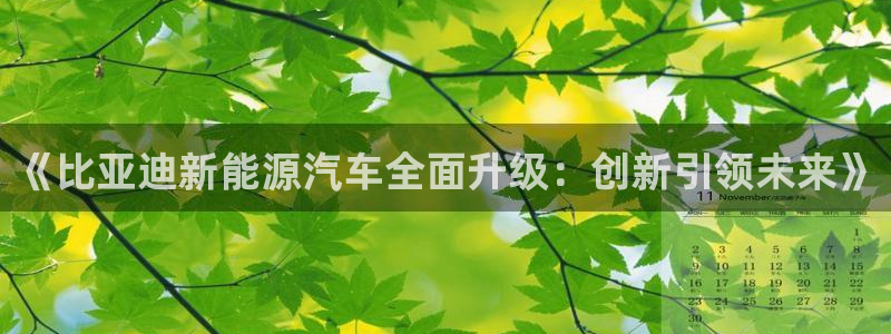新宝gg珈75775：《比亚迪新能源汽车