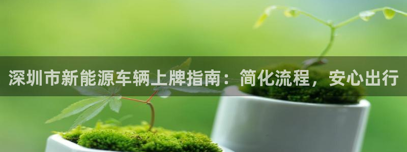 新gg宝:深圳市新能源车辆上牌指南:简化流程,安心出行