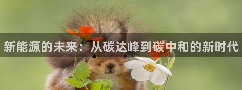 新宝GG最高返点多少:新能源的未来:从碳达峰到碳中和的新时代