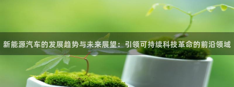 正版新宝gg
