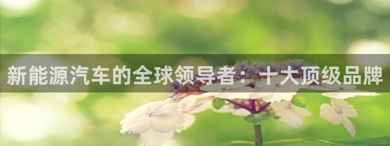 新宝gg注册首页:新能源汽车的全球领导者:十大顶级品牌