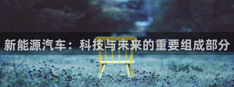 新宝gg 198:新能源汽车:科技与未来的重要组成部分