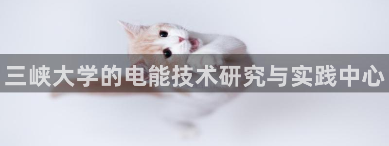 新宝新宝gg开户流程：三峡大学的电能技术