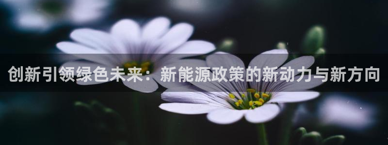 新宝gg技术：创新引领绿色未来：新能源政