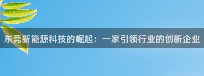 新宝gg奇迹:东莞新能源科技的崛起:一家引领行业的创新企业