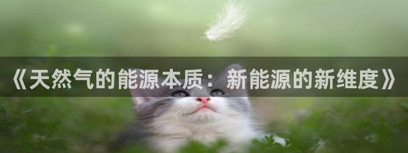 新宝GG耳78778:《天然气的能源本质:新能源的新维度》