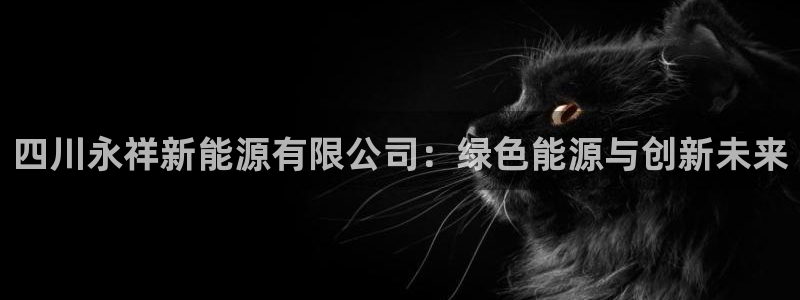 新宝gg下载:四川永祥新能源有限公司:绿色能源与创新未来