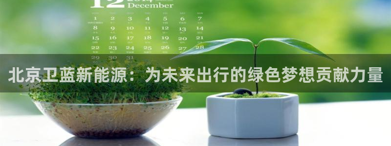 新宝gg如何赚钱:北京卫蓝新能源:为未来出行的绿色梦想贡献力