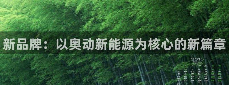 新宝gg 创造奇迹:新品牌:以奥动新能源为核心的新篇章