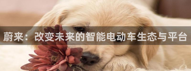 gg新宝:蔚来:改变未来的智能电动车生态与平台