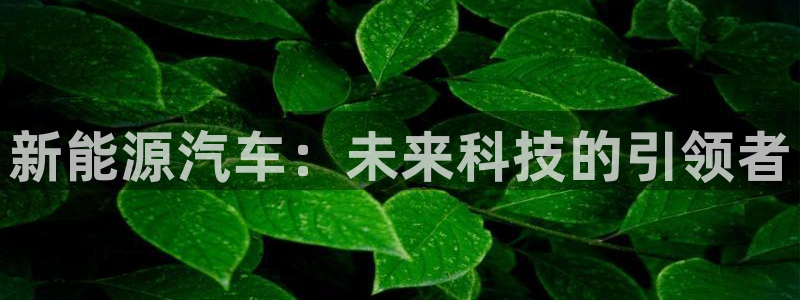 新宝GG娱乐-上皇巢网:新能源汽车:未来科技的引领者