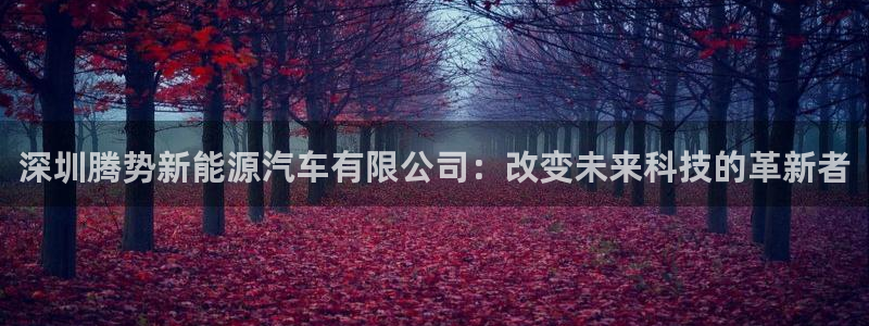 新宝GG卢355051:深圳腾势新能源汽车有限公司:改变未来