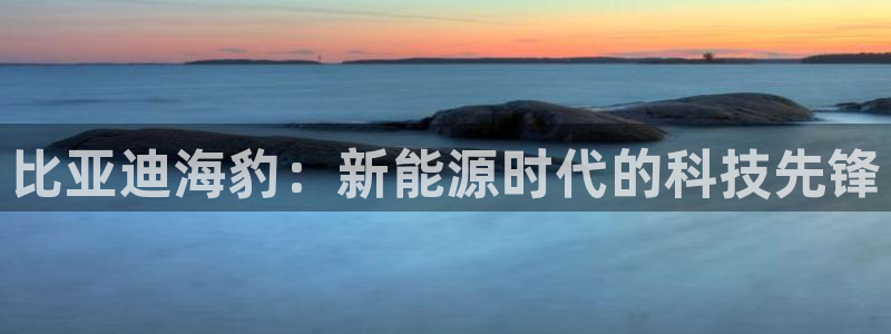 新宝gg注册平台:比亚迪海豹:新能源时代的科技先锋