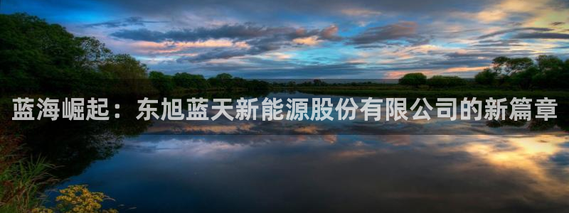 新宝GG耳78778:蓝海崛起:东旭蓝天新能源股份有限公司的