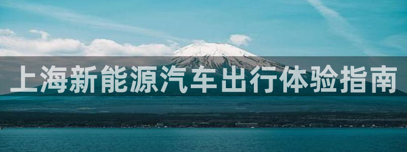 新宝gg—登录:上海新能源汽车出行体验指南