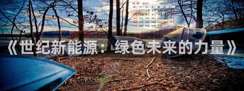 新宝gg违法:《世纪新能源:绿色未来的力量》