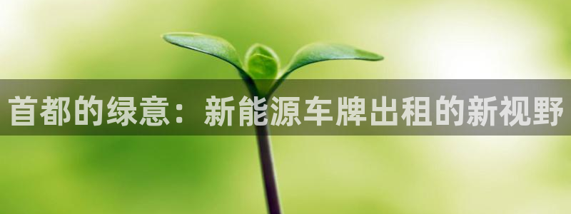 新宝gg用哪个浏览器:首都的绿意:新能源车牌出租的新视野