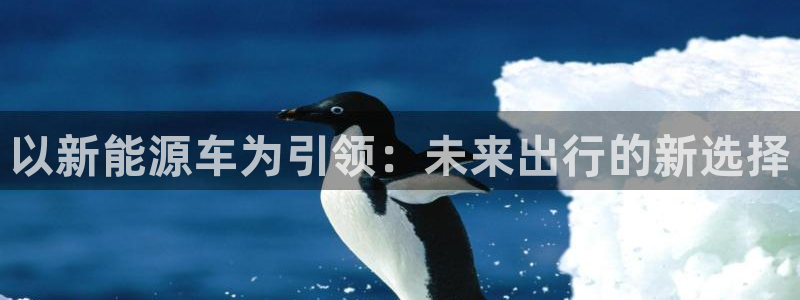 新宝gg赞颂63390:以新能源车为引领:未来出行的新选择