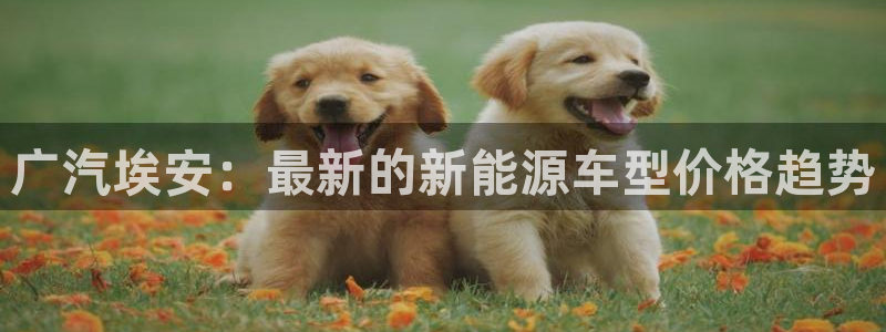 新宝gg好吗:广汽埃安:最新的新能源车型价格趋势