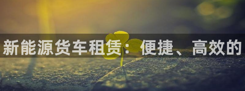 新宝GG玩家:新能源货车租赁:便捷、高效的