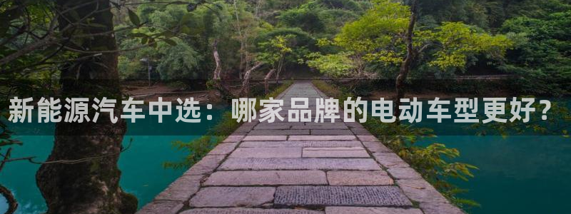 新宝gg在哪开户:新能源汽车中选:哪家品牌的电动车型更好?
