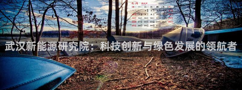 新宝gg玩:武汉新能源研究院:科技创新与绿色发展的领航者