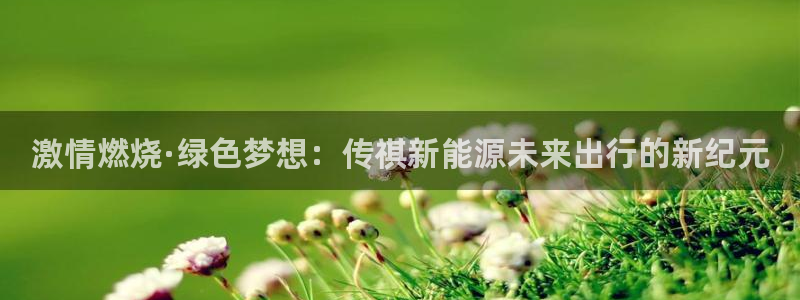 11新宝gg:激情燃烧·绿色梦想:传祺新能源未来出行的新纪元