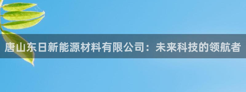 新宝gg注册jhjinde:唐山东日新能源材料有限公司:未来