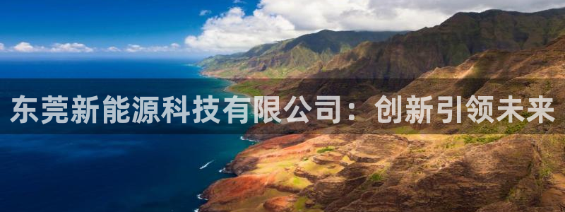 新宝gg手机:东莞新能源科技有限公司:创新引领未来