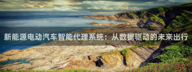 新宝gg好吗：新能源电动汽车智能代理系统