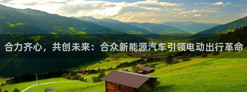 广东新宝电器gg