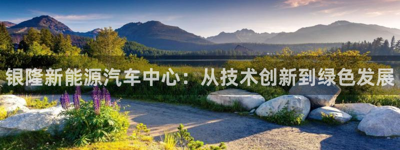 新宝gg注册 776317