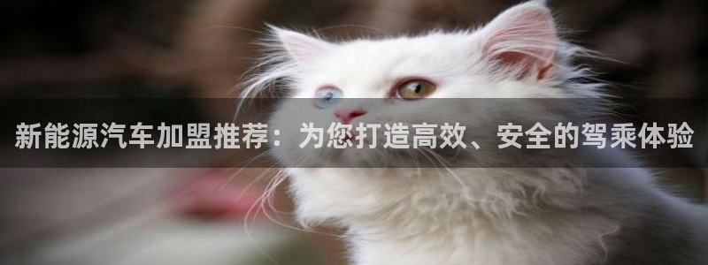 新宝gg主管：新能源汽车加盟推荐：为您打