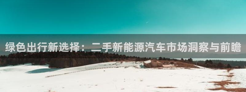 新宝gg 奇迹：绿色出行新选择：二手新能