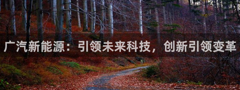 新宝gg娱乐平台：广汽新能源：引领未来科