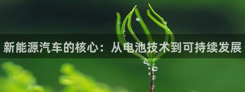 新宝gg官方下载：新能源汽车的核心：从电