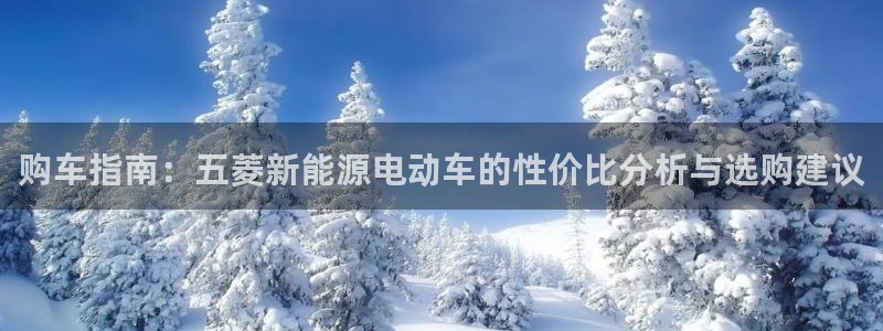 新宝gg维护：购车指南：五菱新能源电动车