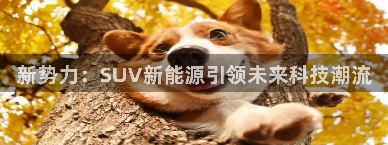 新宝gg返点模式：新势力：SUV新能源引