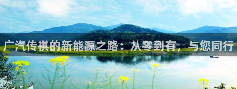 新宝GG网页：广汽传祺的新能源之路：从零