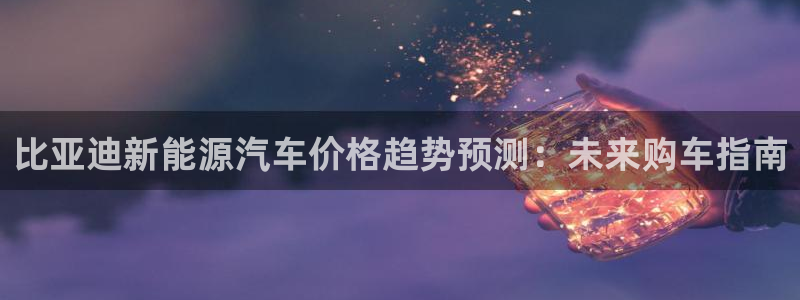 新宝测速gg：比亚迪新能源汽车价格趋势预