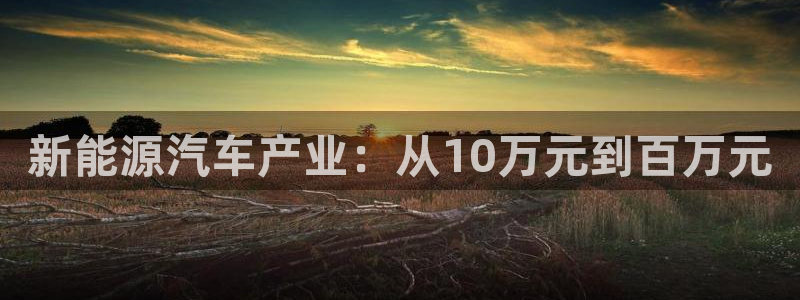 新宝gg手机app：新能源汽车产业：从1