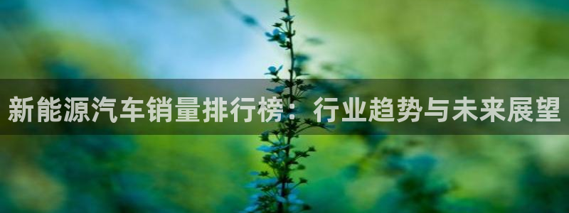 新宝gg手机登录官网：新能源汽车销量排行