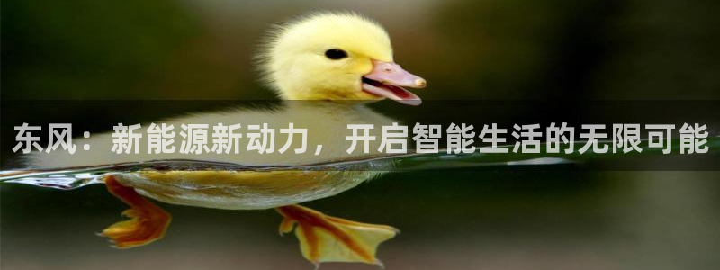 广东新宝电器gg：东风：新能源新动力，开