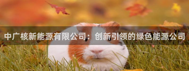 新宝gg娱乐首页：中广核新能源有限公司：