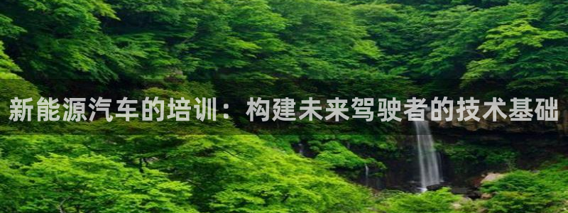 新宝gg挂机软件下载：新能源汽车的培训：