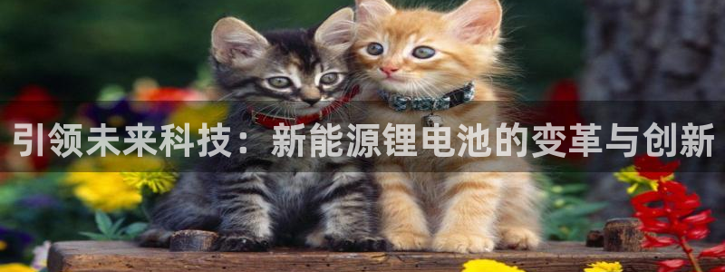 新宝GG创业奇迹：引领未来科技：新能源锂