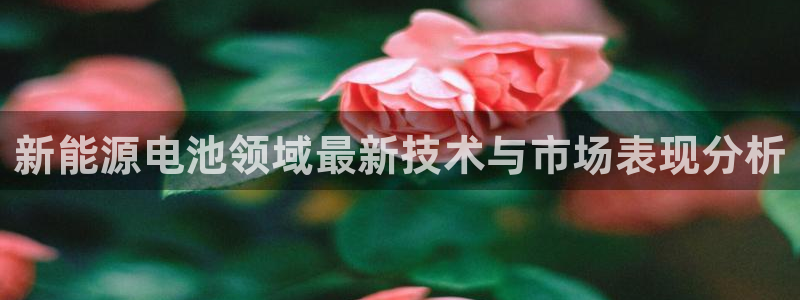 新宝 gg .com：新能源电池领域最新