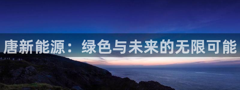 新宝GG国际：唐新能源：绿色与未来的无限