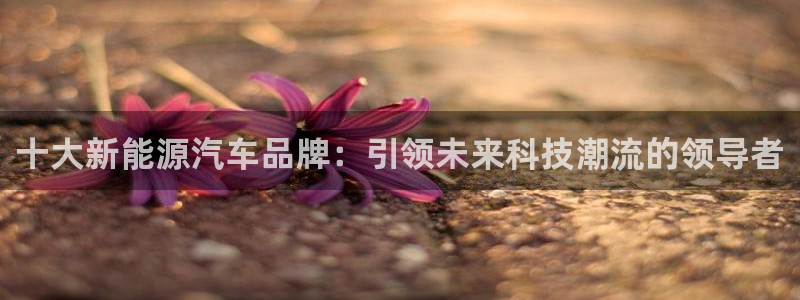 新宝皇冠gg：十大新能源汽车品牌：引领未